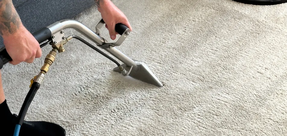 Steam cleaning wand pulling a clean lane through light-coloured carpet